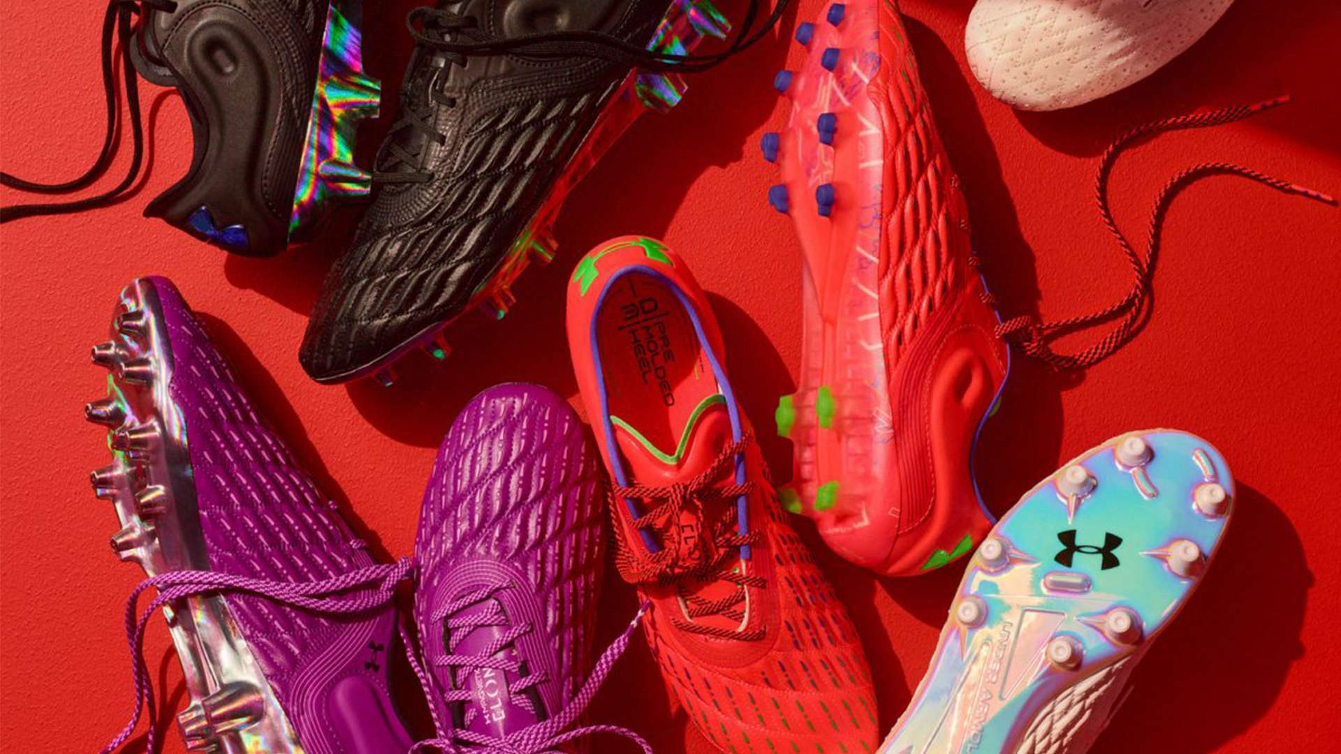 滄州雄獅與 滄州雄獅與